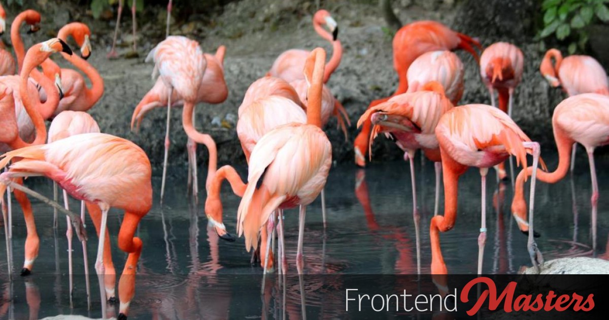 JavaScript Engines Zoo