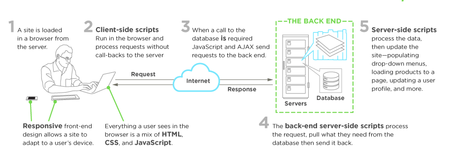 Front End vs Back End, Front End vs Back End Explained